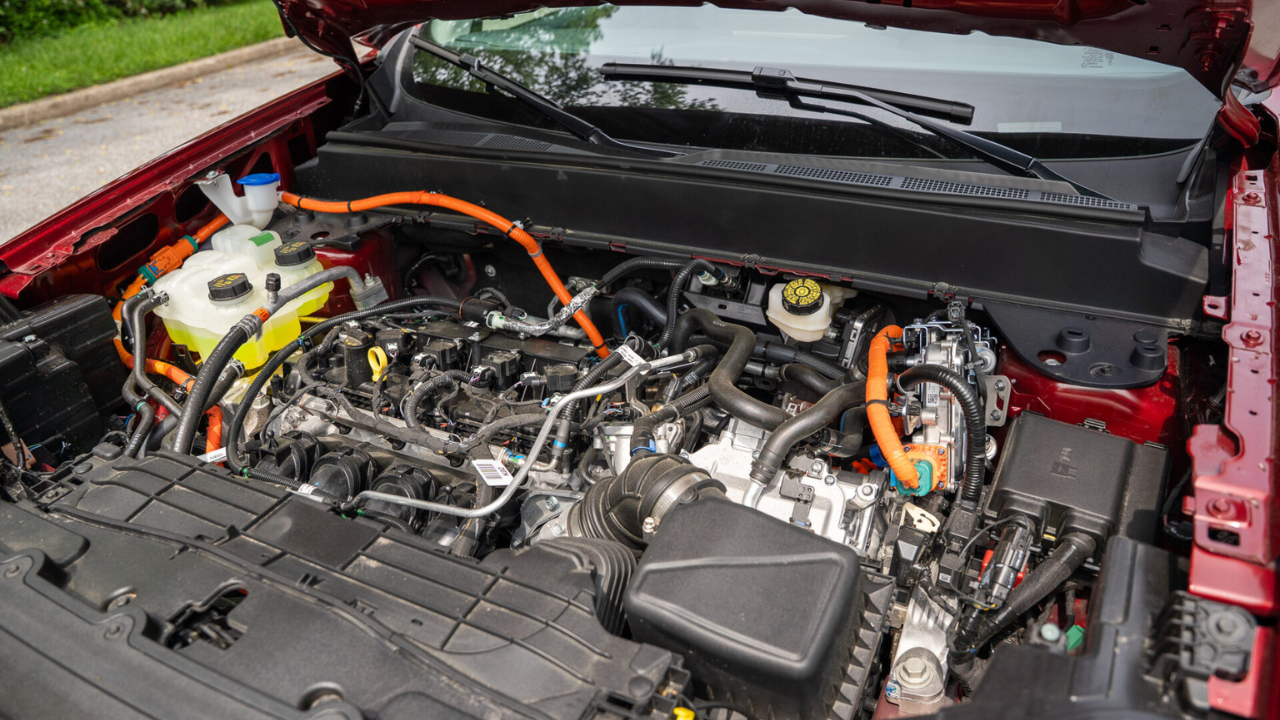 Trim Levels and Features