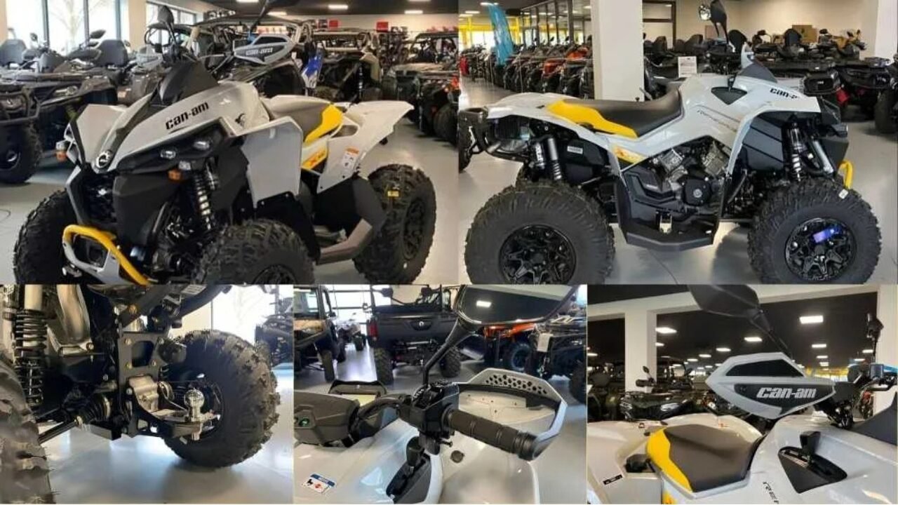 Overview of xxcxxc renegade 1000 xxc